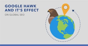 Google Hawk - What You Need to Know to Minimize Its Impact - Featured Image