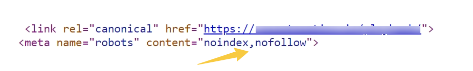 Canonical URL is Noindex
