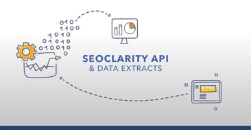 The Better Choice: API or Custom Data Extracts?
